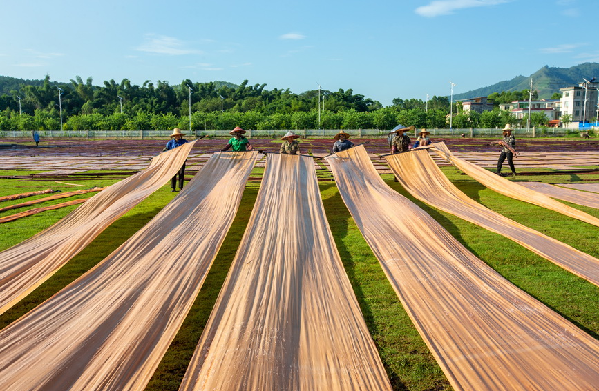 廣西蒙山：加工香雲紗