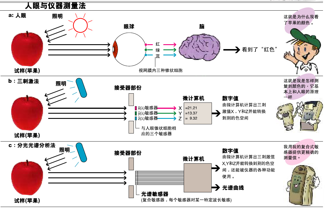 黄瓜视频免费看的分光型與三刺激值型哪個更準確