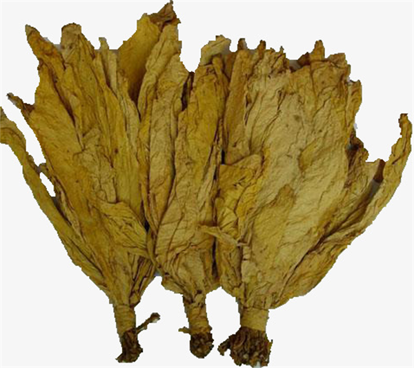 煙葉分級的原則和依據2