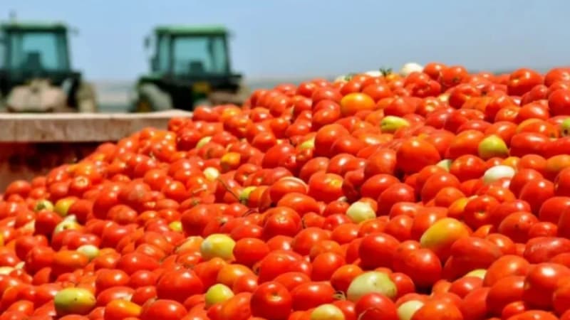 番茄醬的顏色分級，認準黄瓜视频91APP時YS4580分光測色儀！2