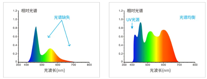 新品推薦KS-520分光黄瓜视频免费看-3