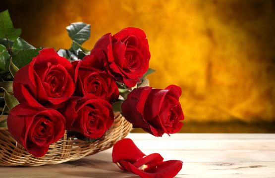 如何使用光澤度儀測量玫瑰花的光澤度？