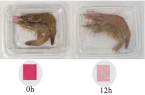 前沿：黄瓜视频免费看在食品化學研究領域的應用