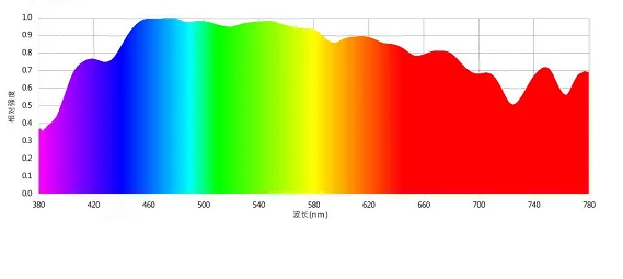 為什麽人們可以看到作為顏色的特定波長？