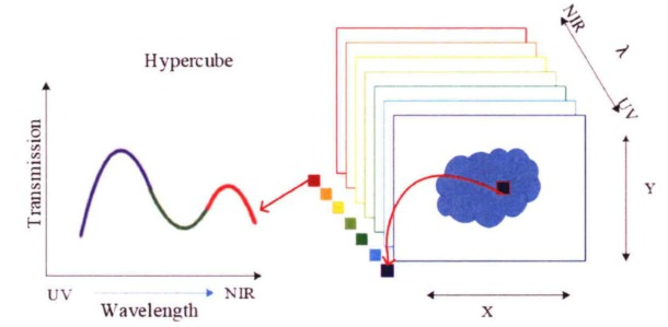 顯微高光譜成像係統的原理是什麽？應用領域有哪些？