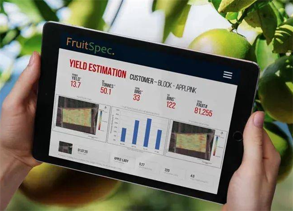基於光譜及高光譜圖像的水果表麵損傷技術