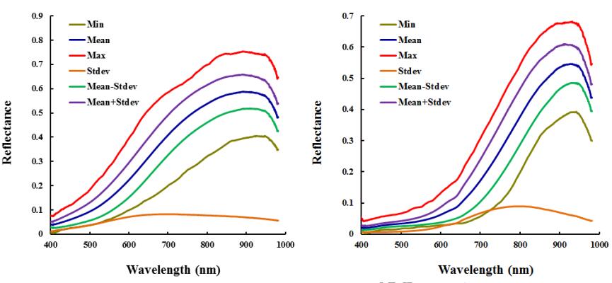 光的反射率：從基本原理到現實應用的完整解析