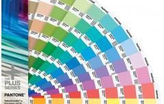 C色卡_光麵銅版紙  GG1501